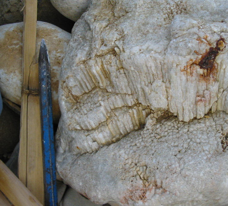 Minerale o fossile